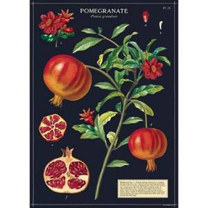 Pomegranate Wrap & Poster