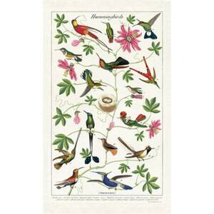 Cavallini & Co. Hummingbirds Tea Towel