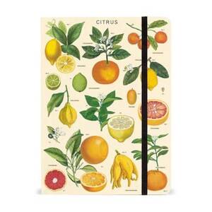 Cavallini & Co. Citrus Large Notebook