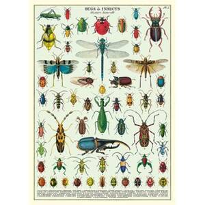 Bugs & Insects Flat Wrap & Poster