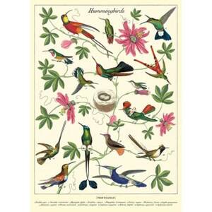 Hummingbird Wrap & Poster
