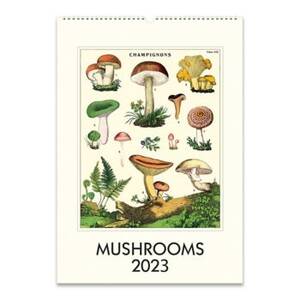 2023 Cavallini & Co. Mushrooms Wall Calendar