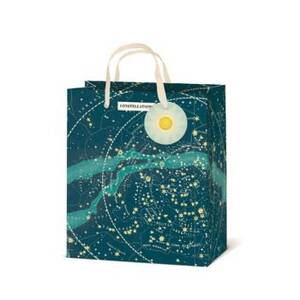 Cavallini & Co. Celestial Medium Gift Bag