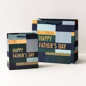 Happy Father's Day Color Block Gift Bags