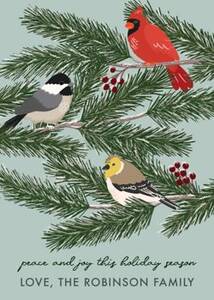Winter Birds Holiday...